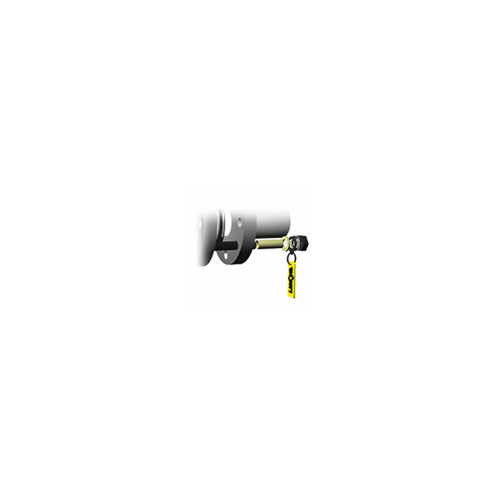 IGT - Intelligent Gasket Tagging by Lamons IGT - Intelligent Gasket Tagging by Lamons